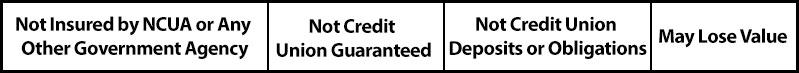 Not insured by NCUA or any other government agency | Not credit union guaranteed | Not credit union deposits or obligations | May lose value